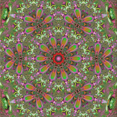 Indoor Rug