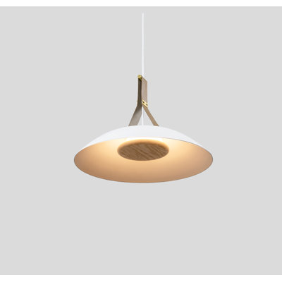 Luminaire suspendu à DEL 18 po Volo