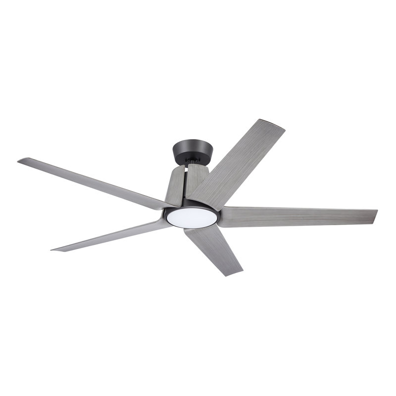 Ventilateur de plafond standard à 5 pales de 28,19 po Akhavi avec chaîne de traction et ensemble d'éclairage inclus
