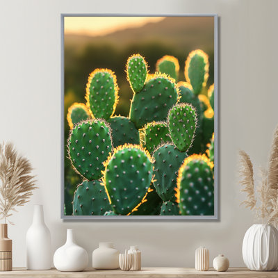 Marjona cactus dans la lumière du matin II - Cactus, art mural