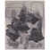 Ramiro Hand Tufted Abstract Indoor Rug