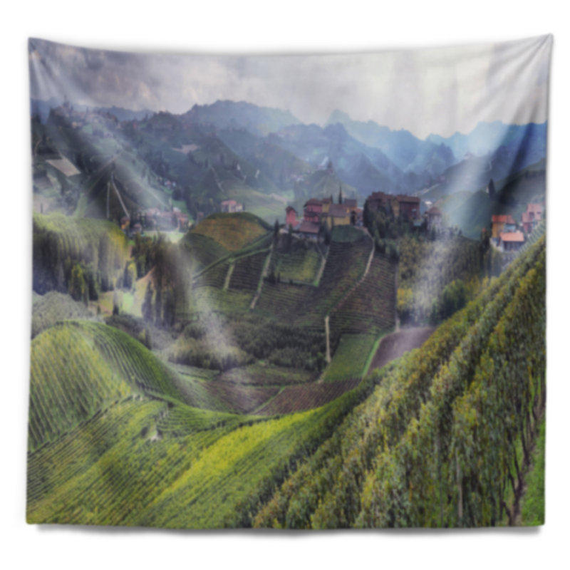 Photographie vignobles en italie tapisserie panoramique, H 32 po x l 39 po