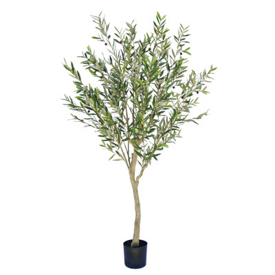 82,68 po plante à feuilles longues olive