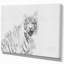 " Tiger In Black And White "-29496002
