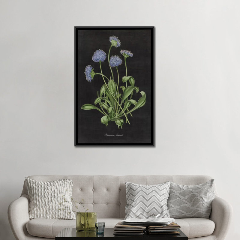 « botanique chart vii », impression sur toile tendue, H 26 po x l 18 po x P 1,5 po, Toile avec cadre noir, Pas de tapis