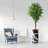 75'' Faux Ficus Tree in Pot-87037057