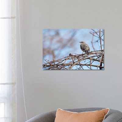 Grey & Blue 1 Piece Wrapped Canvas Wall Art