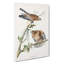 Red-shouldered Hawks by Albert Racinet - Wrapped Canvas-55341574