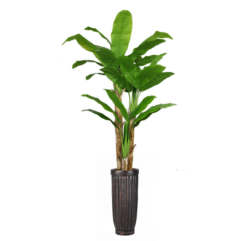 Bananier artificiel 93 po Panama, P 61 po