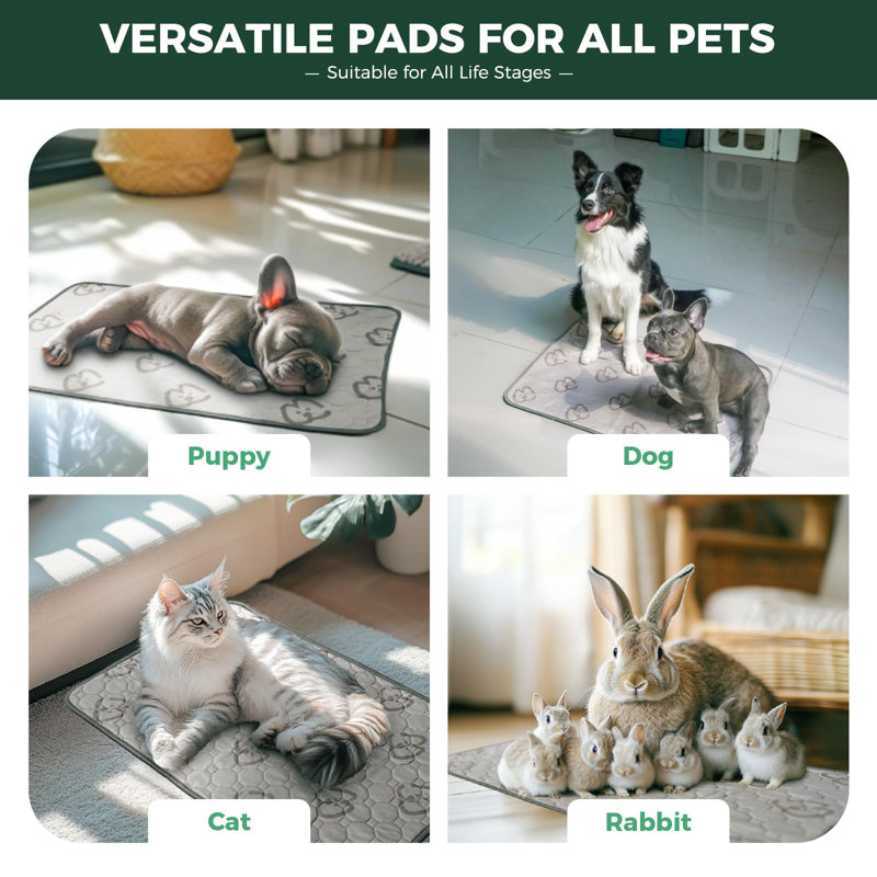 FXW Washable Pee Pads for Dogs, Absorbent Puppy Pads for Cages and Crates, 30 po x 75 po (1 paquet)