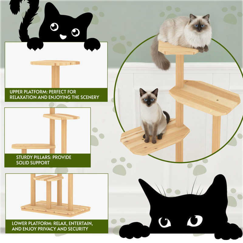 Durable 4-Tier Outdoor Cat Tree