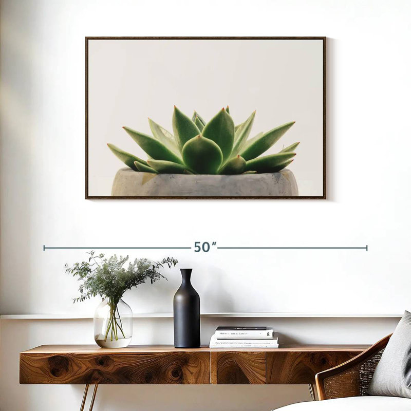 Plante grasse en pierre, 37 po x 25 po, Cadre flottant en noyer