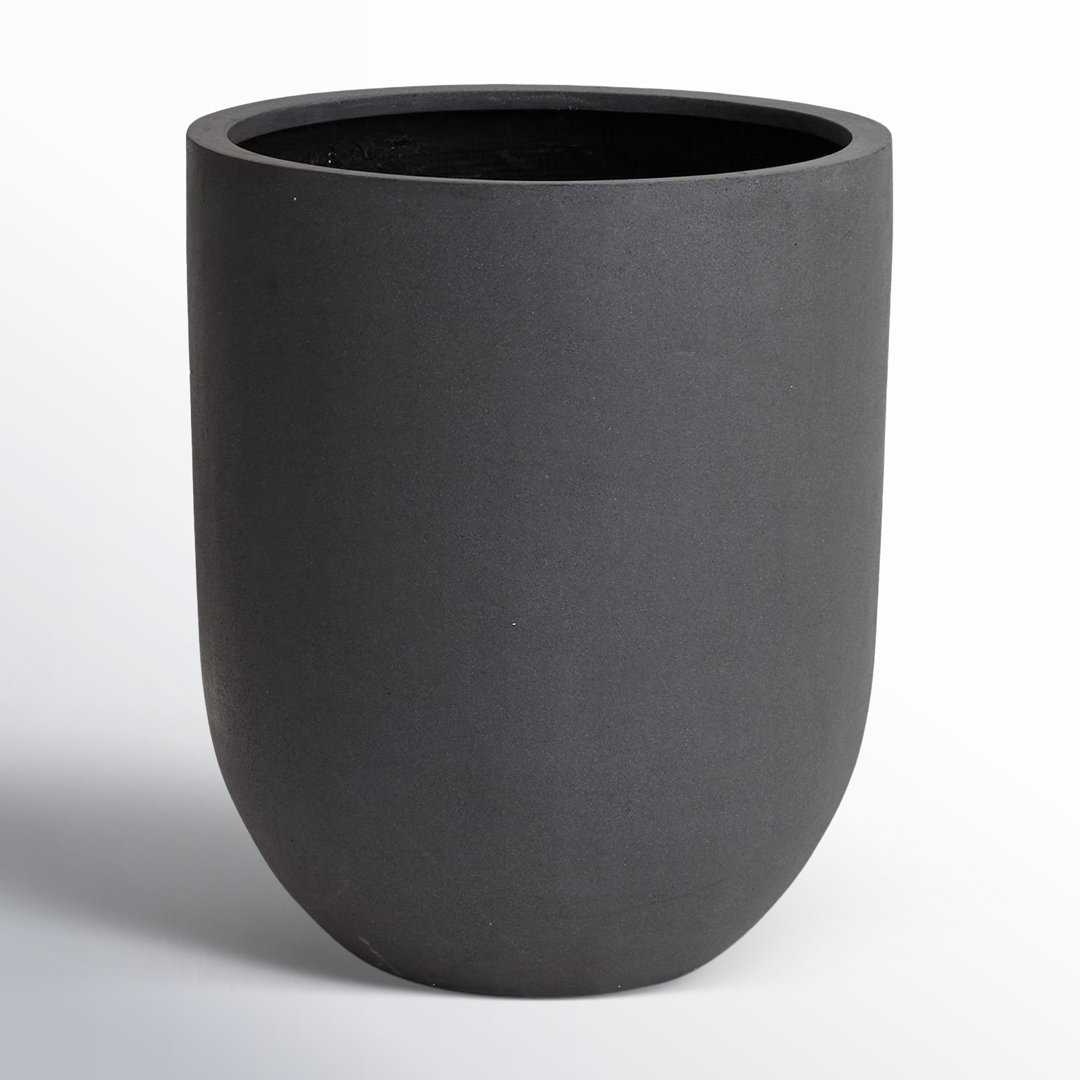 Ceola Planter Joss & Main 