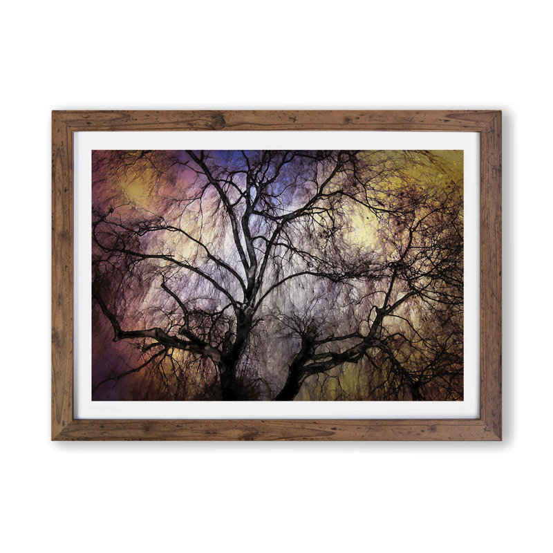 Weeping Willow Tree - Framed Print, 62cm H x 87cm W x 2cm D, Walnut