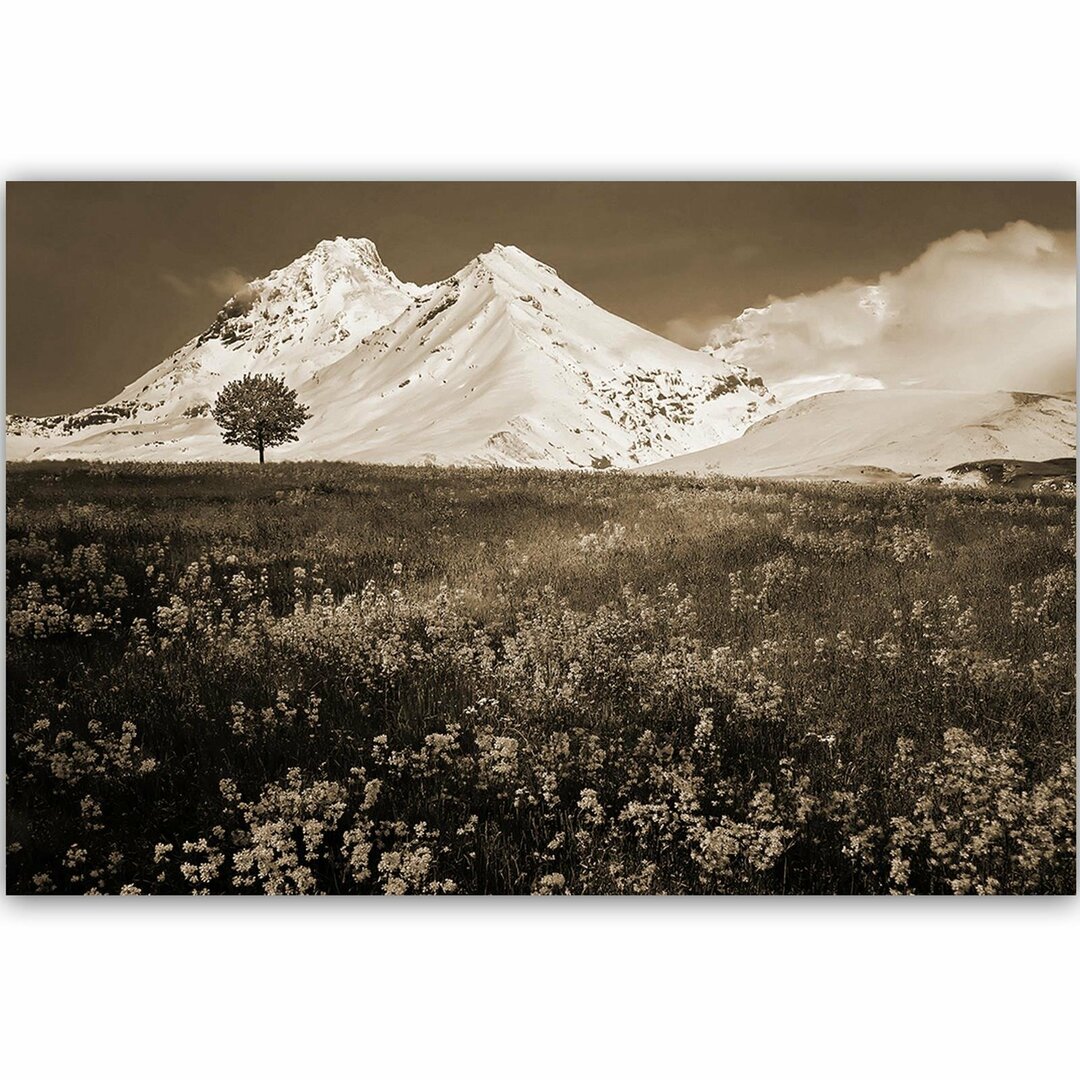 Leinwandbild Verschneite Berge und bunte Wiese 1