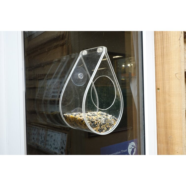 Dew Drop Window Bird Feeder