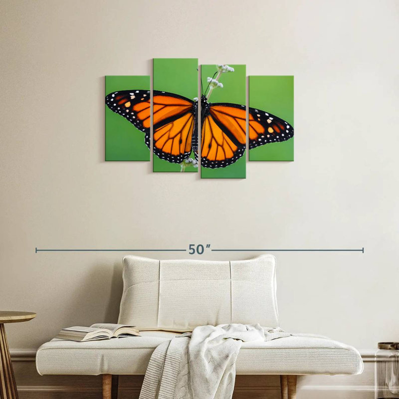 Pretty Monarch Butterfly, 22" H x 36" W