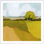 Sunkissed Solitude II par Grace Popp - peinture encadrée