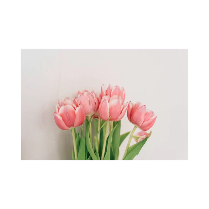 Spring Tulips by Chelsea Victoria - Wrapped Canvas Print, 66.04 cm H x 45.72 cm W x 3.175 cm D