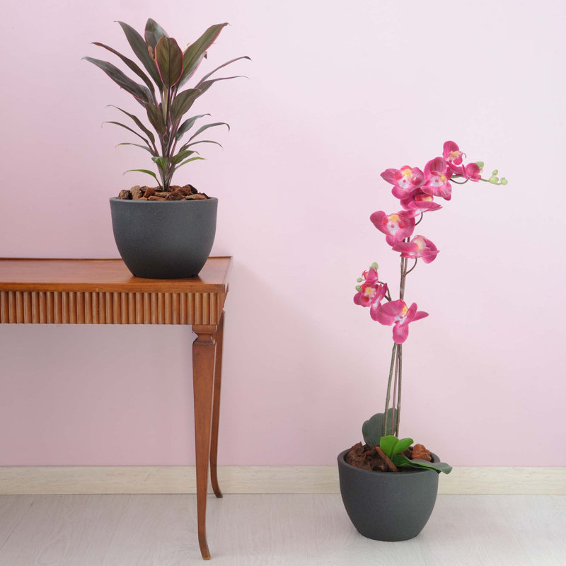 Grifaldo Pot Planter, 18cm H x 25cm W x 25cm D, Anthracite