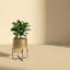 Gold Planters Large Indoor for Home Decor Dining Room