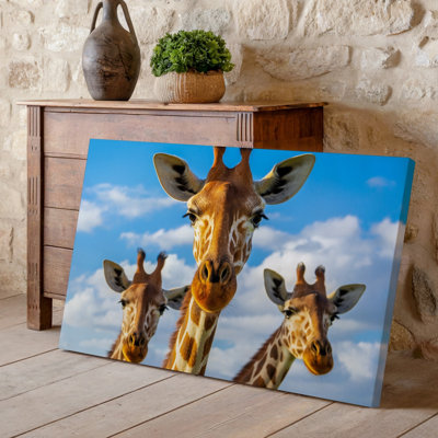 Canvas Three Curious Giraffes Peek Into The Frame Their Long Necks Wall Art And Distinctive Patterns Creating A Striking Visual The Canvas Wall Art