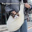 Sac de transport pour animal portable respirant