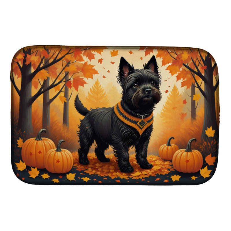 Tapis de séchage