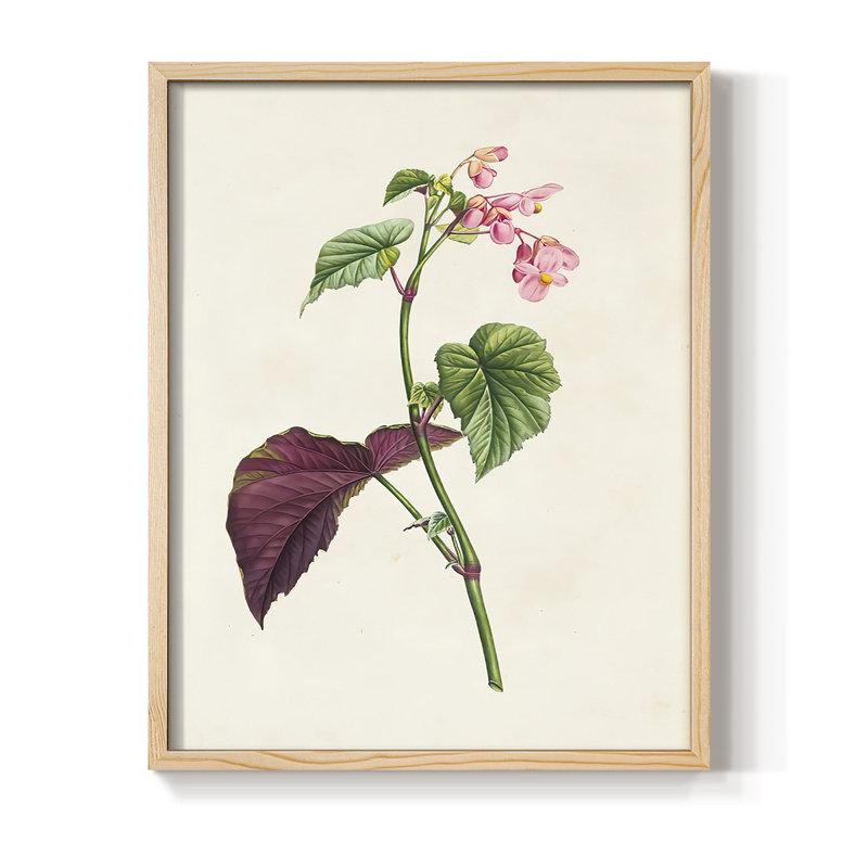 Affiche encadrée « Pretty Pink Botanicals VI » - Bois massif, Naturel, H 11 po x l 9 po