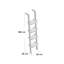Zeppelin 180 cm H x 36 cm W Ladder Bookcase