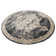 Arloa Oriental Indoor Rug