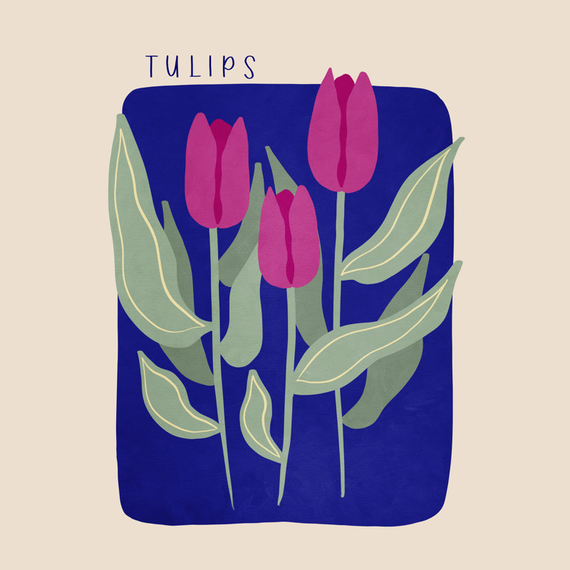 «Tulips 03» par Viviana Gonzalez, reproduction sur toile tendue, H 20 po x l 20 po, Non, Impression avec cadre érable