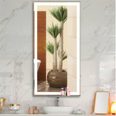 Wervin Beveled Lighted with Shelves Bathroom Mirror