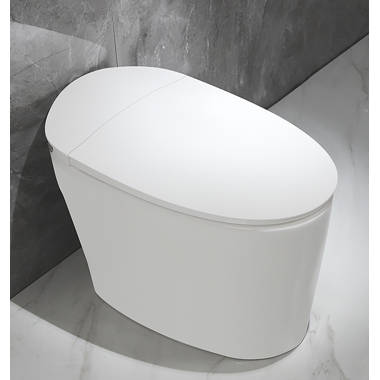Floor Mounted Gray Ceramic White One Piece Toilet Seat Power
