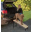 Rampe pour animaux 23,5 po
