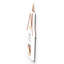 Carley Wall Decor