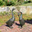 Cael Animals Metal Garden Statue