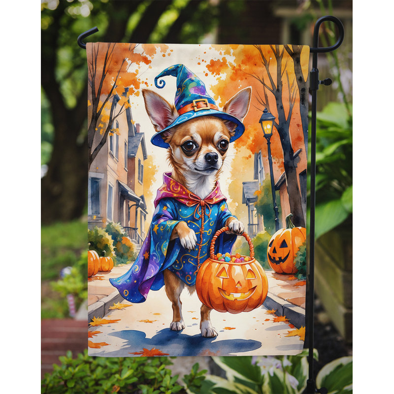 Drapeau du jardin Mastiff, Chihuahua