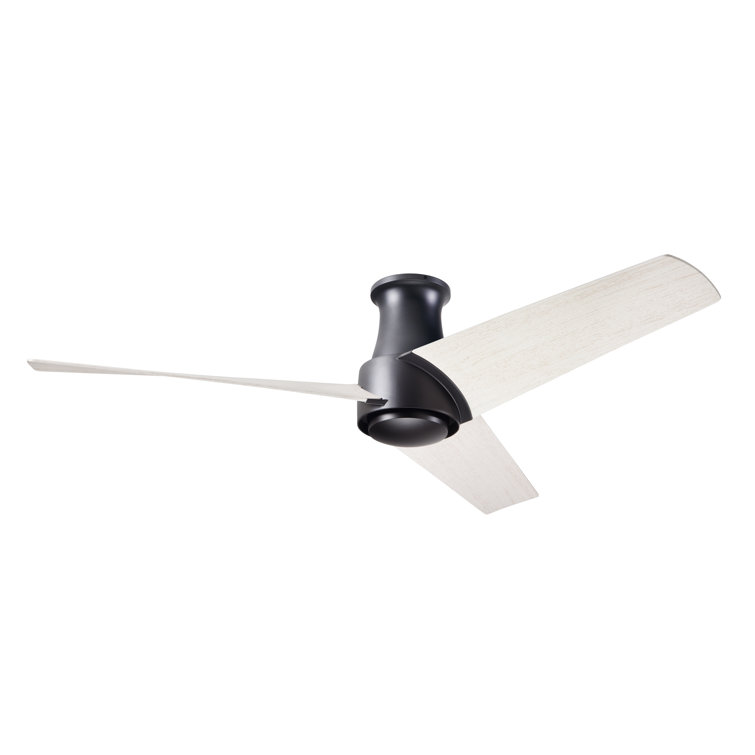 Ambit Ceiling Fan