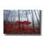Art mural sur toile Millwood Pines-904098772