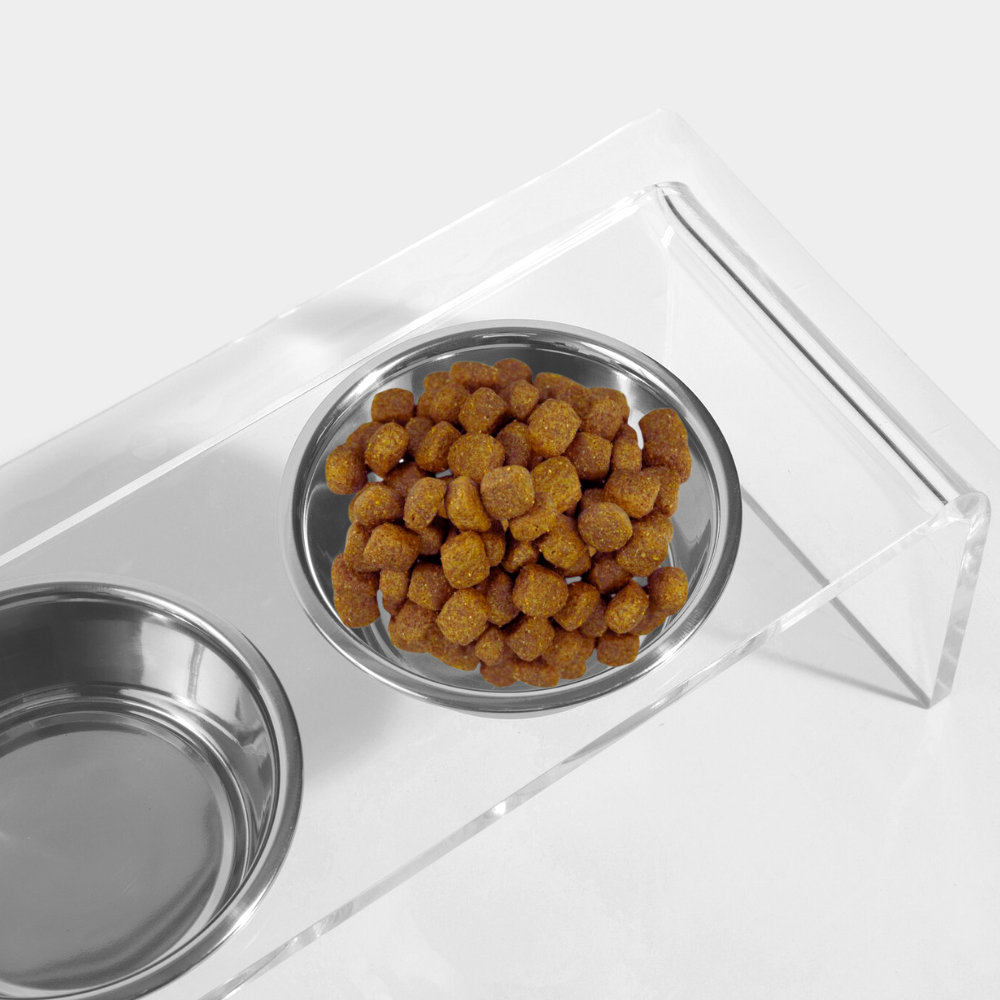 Tall Clear Elevated Feeder with Bowls, Silver, Clear