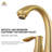 2-handle Bathroom Faucet with Drain Assembly-72244186