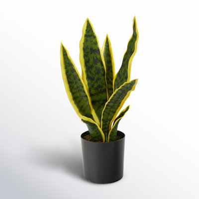 22" H Faux Snake Plant in Pot