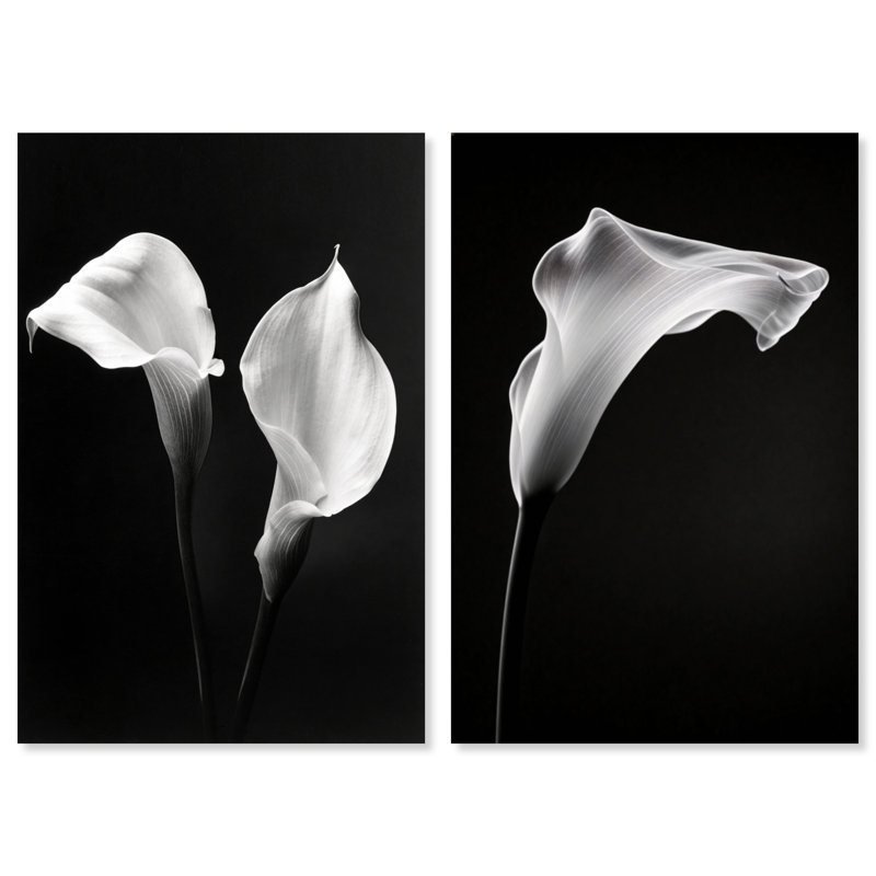 Calla Lily Set Set by Oliver Gal, 30" H x 20" W, Gallery Wrapped