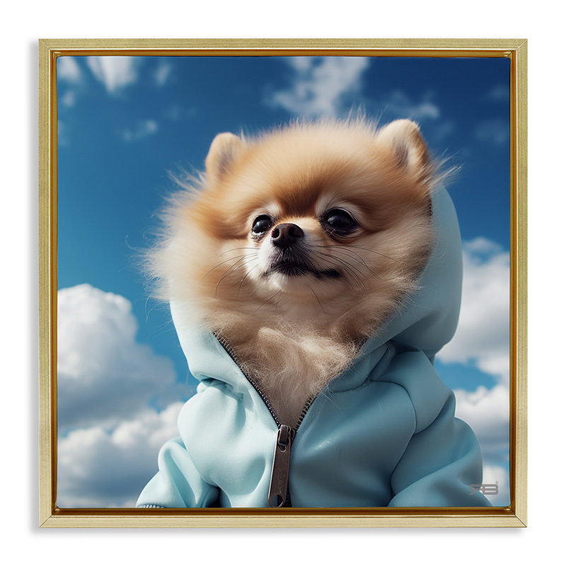 «Pomeranian Dog & Clouds», encadrée dorée sur toile flottante par Roozbeh Bahramali, Cadre flottant métallique doré