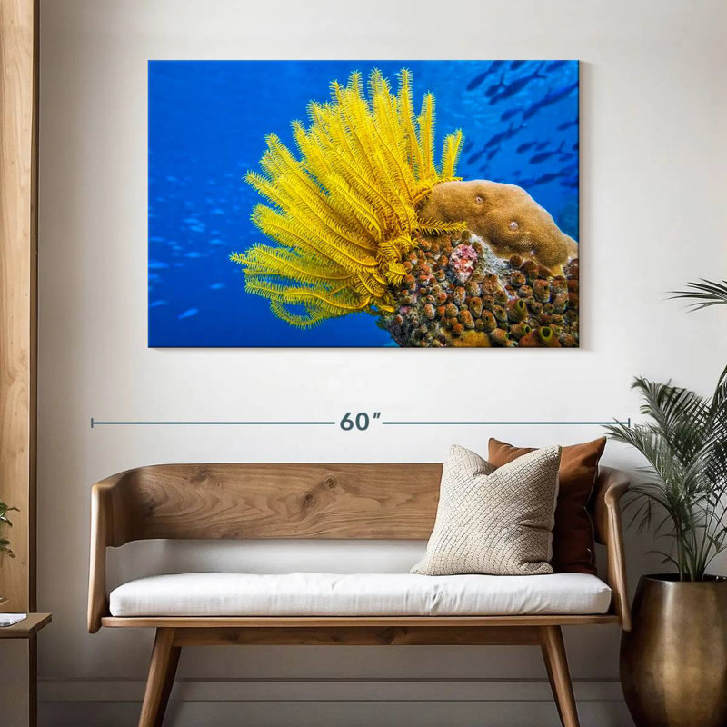 Étoile de mer à plumes jaunes Brampt, H 32 po x l 48 po
