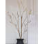 Primrue 12 Pieces Artificial Lifelike Birch Twig Branches, Dried Tree Branches, Fake Decorative Branches With Catkins For Kitchen, Home, And Party Decoration