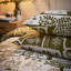 Toile Duvet Cover Set with Pillowcases Included-90168854