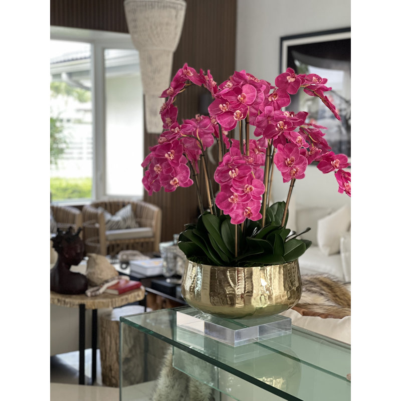 Roberi bowl with multiple stems of white Phalaenopsis orchids, 38" H x 22" W x 22" D, Pink