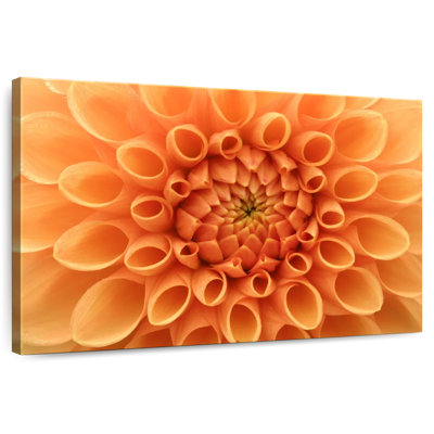 Harnek Dahlia Sandra